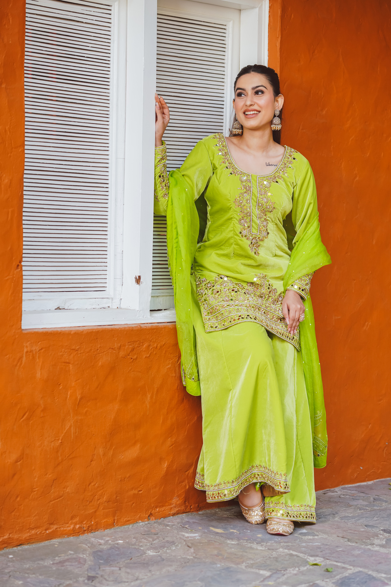green floral dress casual Parrot Green Orgenza Gown With Jacquard Border – The Beauty Queen